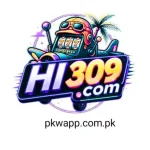 HI 309 game