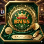 BN 55 game
